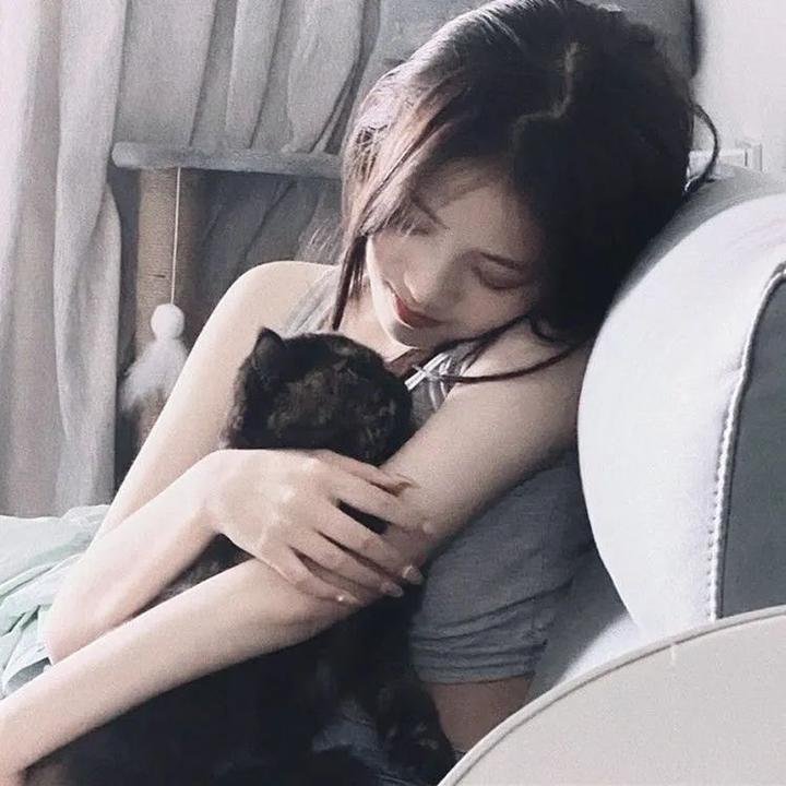 大山里的致富路