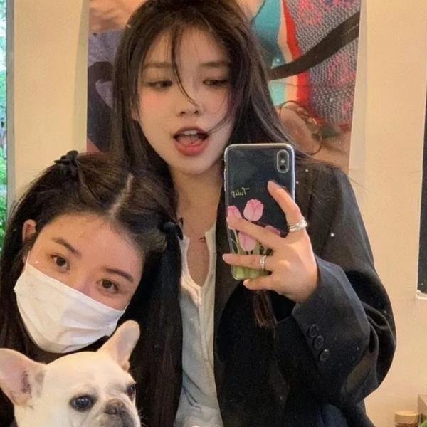 剧场版 秘密战队五连者